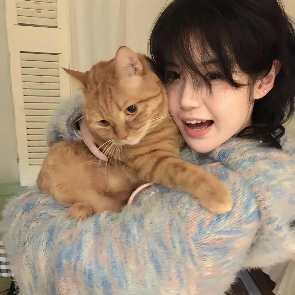 星球奇兵：刀客雷恩历险记