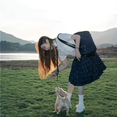 阿Sir之动物的起源